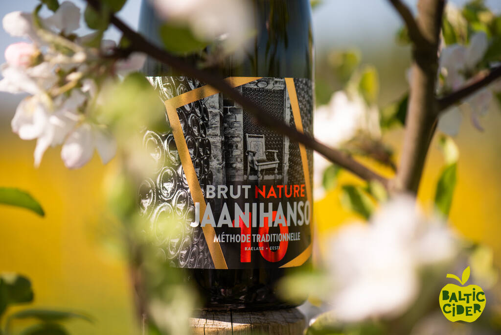 Jaanihanso 01