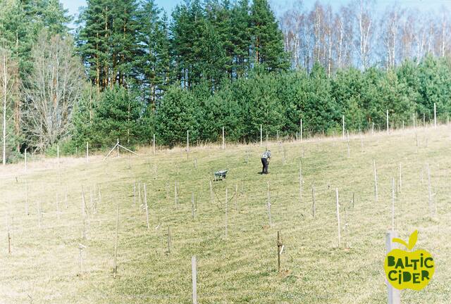 2013 – Abuls Cidery – Planting the orchard