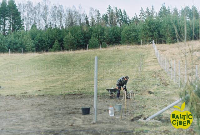 2013 – Abuls Cidery – Planting the orchard