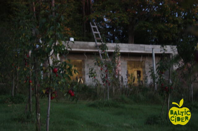 2017 – Abuls – Construction of the Apple Cellar